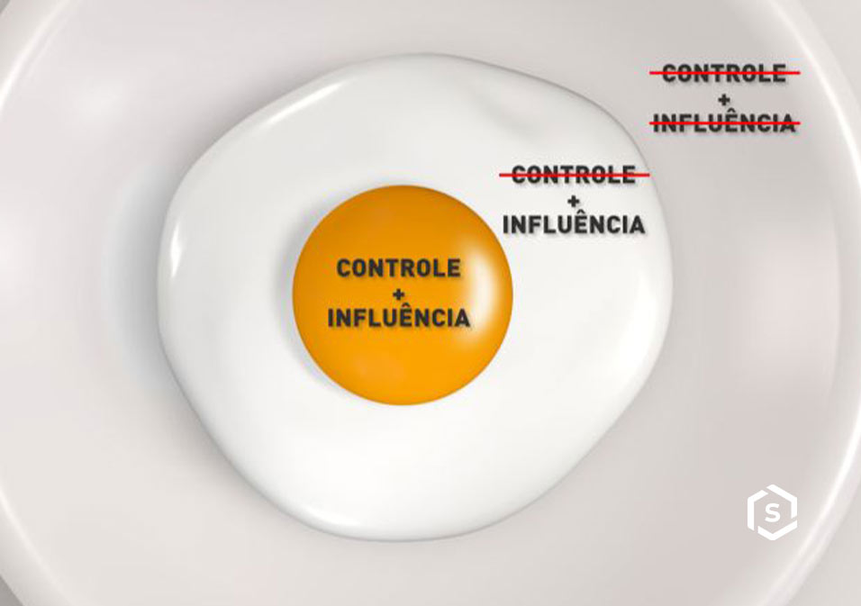 Imagem de um prato com um ovo frito para ilustrar a teoria do ovo sobre a importância do controle e influência em estratégias de liderança e gestão