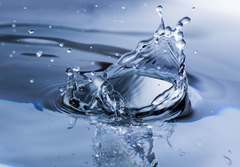 Compartilhe informações sobre economia de água 