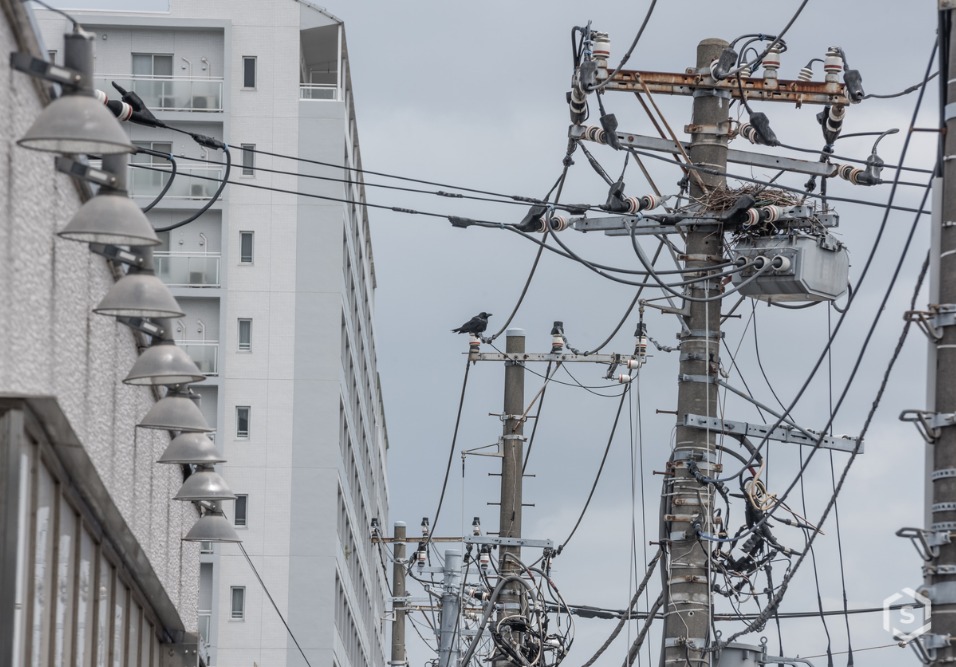 Caminhão derruba poste após enroscar em fiação