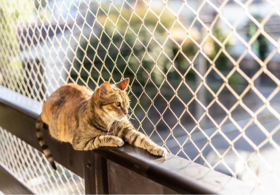 Qual é a diferença entre sacada, varanda e terraço? Qual é a diferença entre sacada, varanda e terraço?