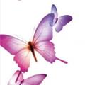 Marcia Pereira Lopes
