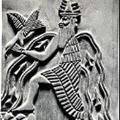 ENKI JUNIOR